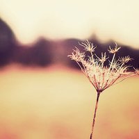ʧĵİΨͷ(4)_WWW.AIGEXING.COM