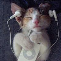 мܲסèȸͷ(49)_WWW.AIGEXING.COM