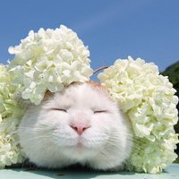 мܲסèȸͷ(39)_WWW.AIGEXING.COM