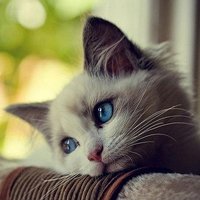 мܲסèȸͷ(53)_WWW.AIGEXING.COM