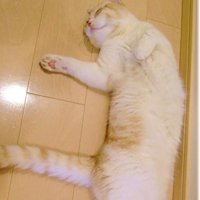 мܲסèȸͷ(30)_WWW.AIGEXING.COM