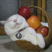 мܲסèȸͷ(20)_WWW.AIGEXING.COM