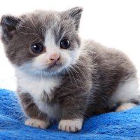 мܲסèȸͷ(5)_WWW.AIGEXING.COM