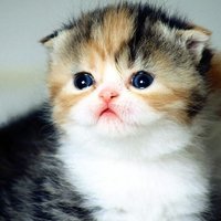 мܲסèȸͷ(52)_WWW.AIGEXING.COM