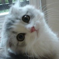мܲסèȸͷ(11)_WWW.AIGEXING.COM