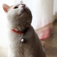 мܲסèȸͷ(46)_WWW.AIGEXING.COM