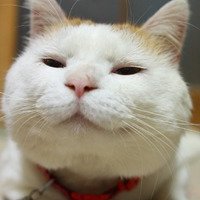 мܲסèȸͷ(43)_WWW.AIGEXING.COM