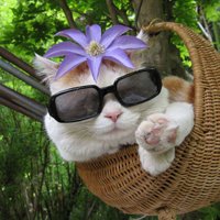 мܲסèȸͷ(27)_WWW.AIGEXING.COM