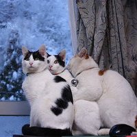 мܲסèȸͷ(48)_WWW.AIGEXING.COM