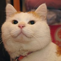 мܲסèȸͷ(42)_WWW.AIGEXING.COM