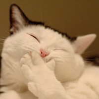 мܲסèȸͷ(55)_WWW.AIGEXING.COM