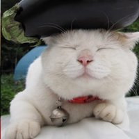 мܲסèȸͷ(18)_WWW.AIGEXING.COM