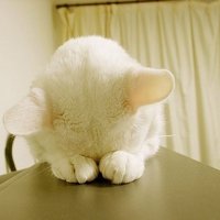 мܲסèȸͷ(17)_WWW.AIGEXING.COM