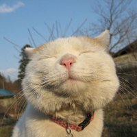 мܲסèȸͷ(32)_WWW.AIGEXING.COM