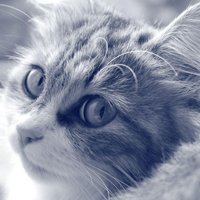 мܲסèȸͷ(4)_WWW.AIGEXING.COM