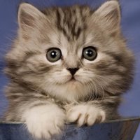 мܲסèȸͷ(56)_WWW.AIGEXING.COM