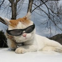 мܲסèȸͷ(44)_WWW.AIGEXING.COM