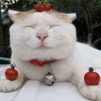 мܲסèȸͷ(22)_WWW.AIGEXING.COM