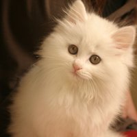 мܲסèȸͷ(33)_WWW.AIGEXING.COM
