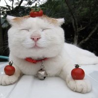 мܲסèȸͷ(37)_WWW.AIGEXING.COM
