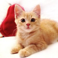 мܲסèȸͷ(35)_WWW.AIGEXING.COM