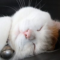 мܲסèȸͷ(12)_WWW.AIGEXING.COM