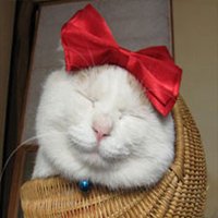 мܲסèȸͷ(25)_WWW.AIGEXING.COM