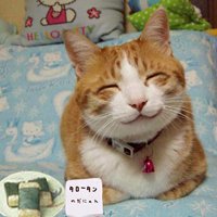 мܲסèȸͷ(28)_WWW.AIGEXING.COM
