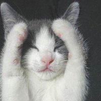 мܲסèȸͷ(2)_WWW.AIGEXING.COM