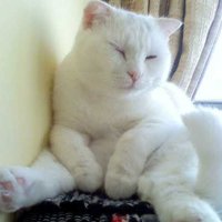 мܲסèȸͷ(21)_WWW.AIGEXING.COM