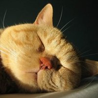 мܲסèȸͷ(31)_WWW.AIGEXING.COM