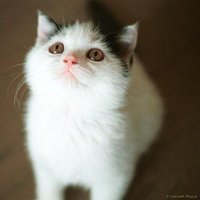 мܲסèȸͷ(13)_WWW.AIGEXING.COM