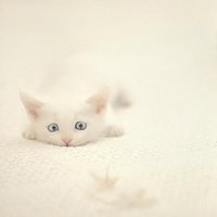 мܲסèȸͷ(16)_WWW.AIGEXING.COM