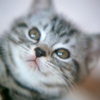 мܲסèȸͷ(51)_WWW.AIGEXING.COM