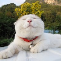 мܲסèȸͷ(40)_WWW.AIGEXING.COM