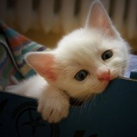 мܲסèȸͷ(7)_WWW.AIGEXING.COM