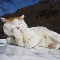 мܲסèȸͷ(23)_WWW.AIGEXING.COM