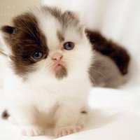 мܲסèȸͷ(1)_WWW.AIGEXING.COM