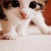 мܲסèȸͷ(15)_WWW.AIGEXING.COM