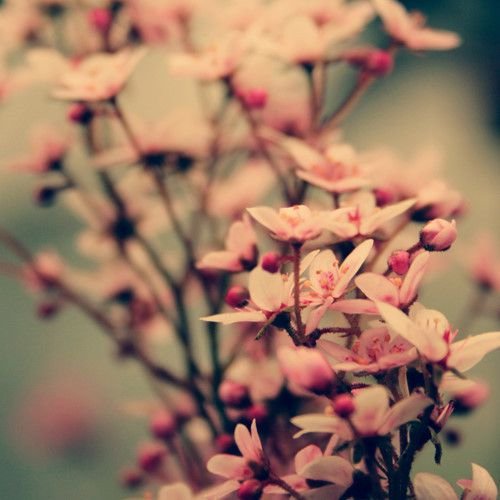 ޺Ժ Ϸִȫ(1)_WWW.AIGEXING.COM