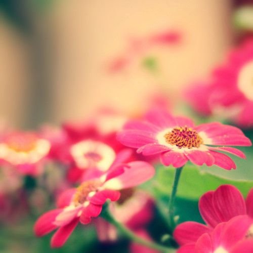 ƺ̸̨ qqȫ(1)_WWW.AIGEXING.COM