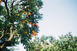 ˵˵_µĻ䣬 һֱ᲻ǡ