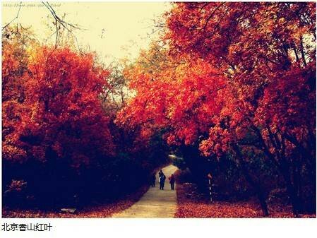 仨ҶϤϤֶ(1)_WWW.AIGEXING.COM