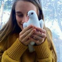 ŷŮͷС ЦΪԵ(17)_WWW.AIGEXING.COM