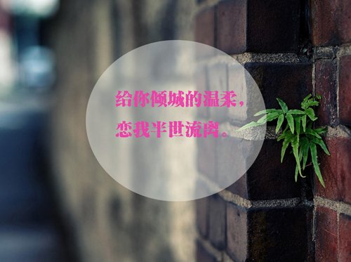 ΨͼƬز(7)_WWW.AIGEXING.COM