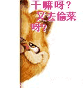 2015ճ ΢Ŷ̬(12)_WWW.AIGEXING.COM