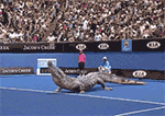 ΢Ⱥı GIF(11)_WWW.AIGEXING.COM