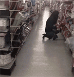 ΢Ⱥı GIF(16)_WWW.AIGEXING.COM