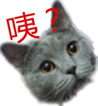 ˸Цֱ ΢רñ(4)_WWW.AIGEXING.COM
