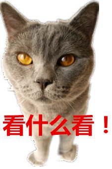 ˸Цֱ ΢רñ(8)_WWW.AIGEXING.COM